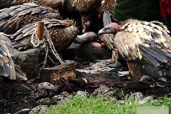 1593784279323381.jpeg 天葬.jpeg